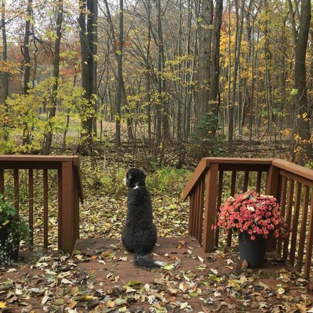 Meet your Posher, Janet